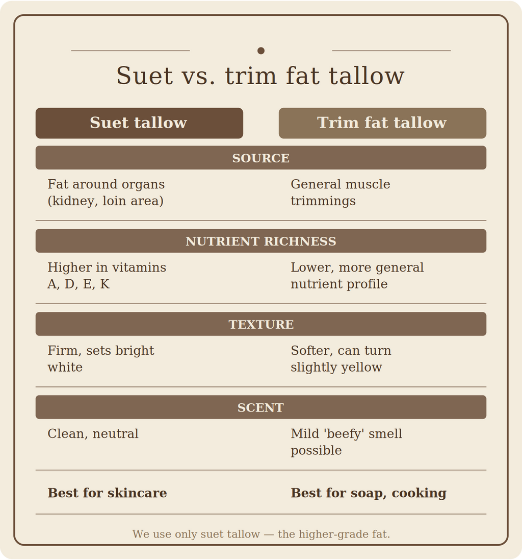 Comparison chart titled "Suet vs. trim fat tallow" on a beige background, with suet tallow on the left and trim fat tallow on the right. Source: suet is fat around the organs (kidney, loin area); trim fat is general muscle trimmings. Nutrient richness: suet is higher in vitamins A, D, E and K; trim fat has a lower, more general nutrient profile. Texture: suet is firm and sets bright white; trim fat is softer and can turn slightly yellow. Scent: suet is clean and neutral; trim fat may have a mild "beefy" sme