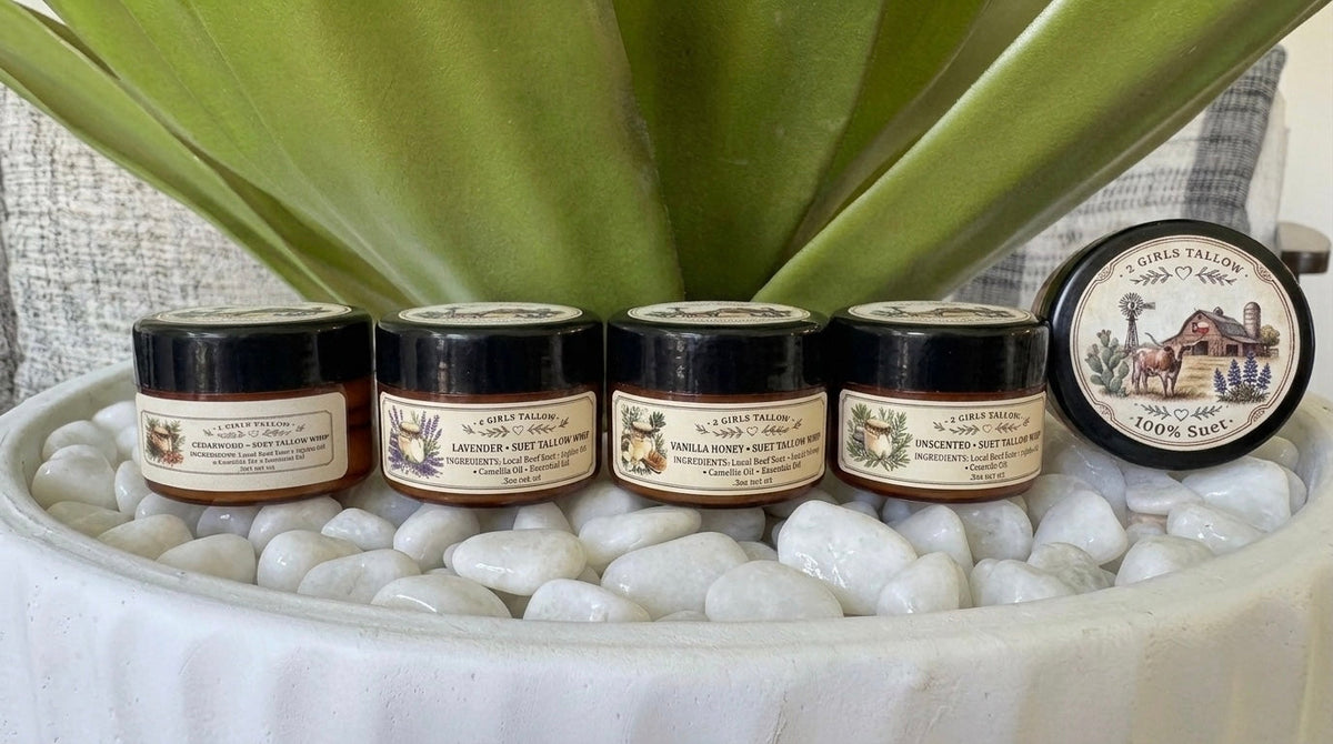 Four amber glass sample jars of 2 Girls Tallow suet tallow whip with black lids, lined up on white pebbles in front of a green leafy plant. The labels read, left to right, Cedarwood, Lavender, Vanilla Honey and Unscented. A round lid showing a farm scene and the words "100% Suet" stands upright at the right end.