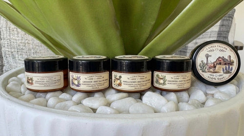 Four amber glass sample jars of 2 Girls Tallow suet tallow whip with black lids, lined up on white pebbles in front of a green leafy plant. The labels read, left to right, Cedarwood, Lavender, Vanilla Honey and Unscented. A round lid showing a farm scene and the words "100% Suet" stands upright at the right end.