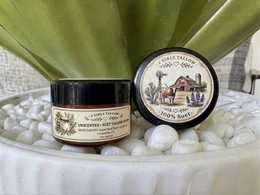 Closed amber glass sample jar of 2 Girls Tallow Unscented Suet Tallow Whip, with a black lid and a cream label showing a small jar and green sprigs. Beside it, a separate round black lid shows a farm scene with a longhorn, a barn with a Texas flag and bluebonnets, and the words "100% Suet." Both sit on white pebbles in front of a green leafy plant.